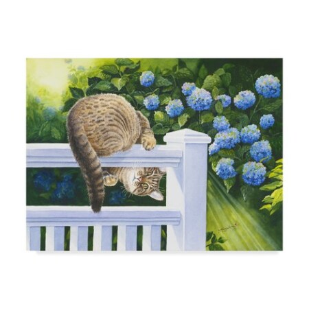 Trademark Fine Art Mary Irwin 'Peek A Boo Floral' Canvas Art, 24x32 ALI43125-C2432GG